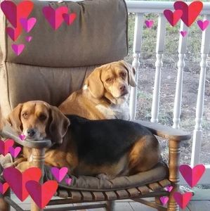 Meet your Posher, Willie